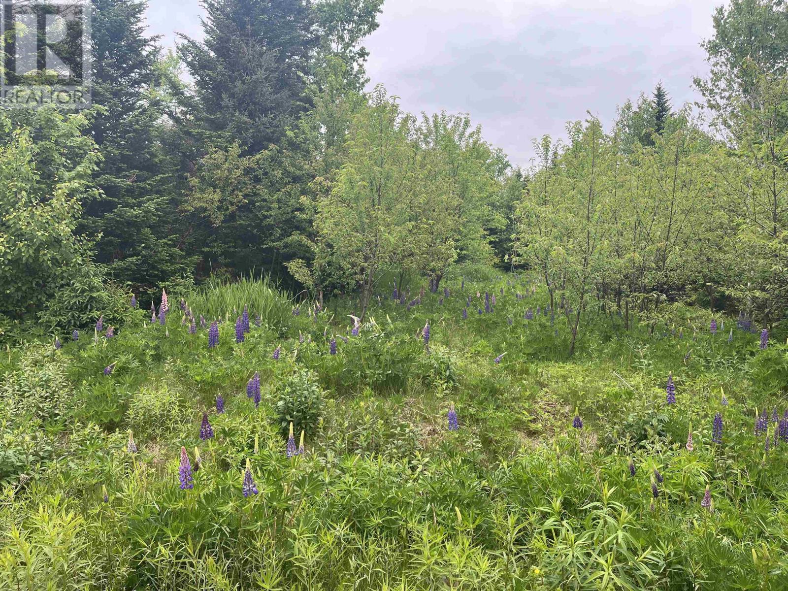 0 Driftwood Lane Property Photo 3