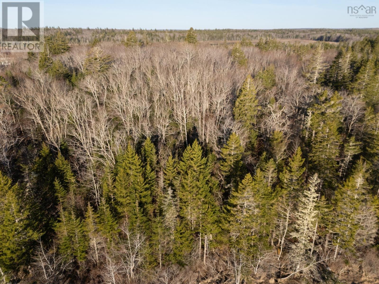 Lot 1, Highway 308 Property Photo 14