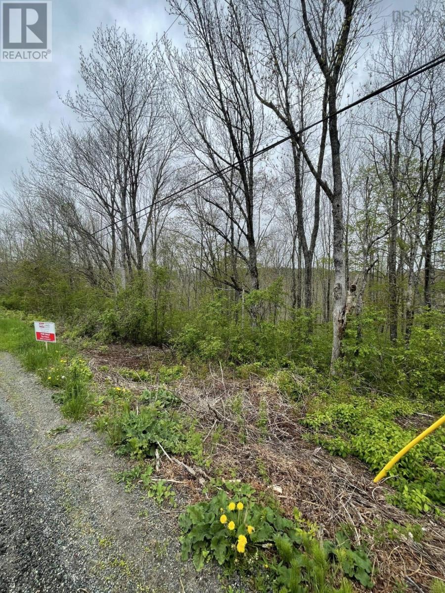 Acreage Brierly Brook Road Property Photo 4