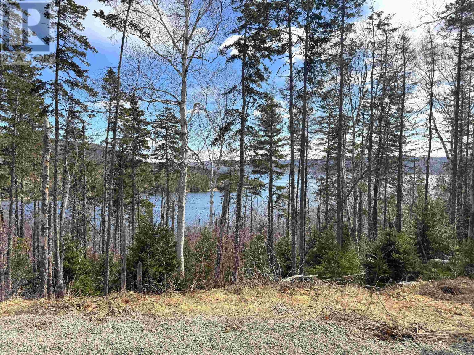 Cabot Trail / Rooster Hill Property Photo 8