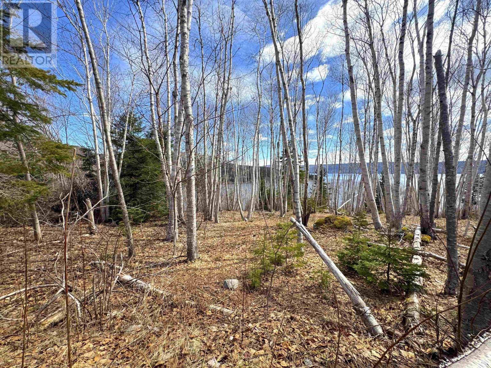Cabot Trail / Rooster Hill Property Photo 9