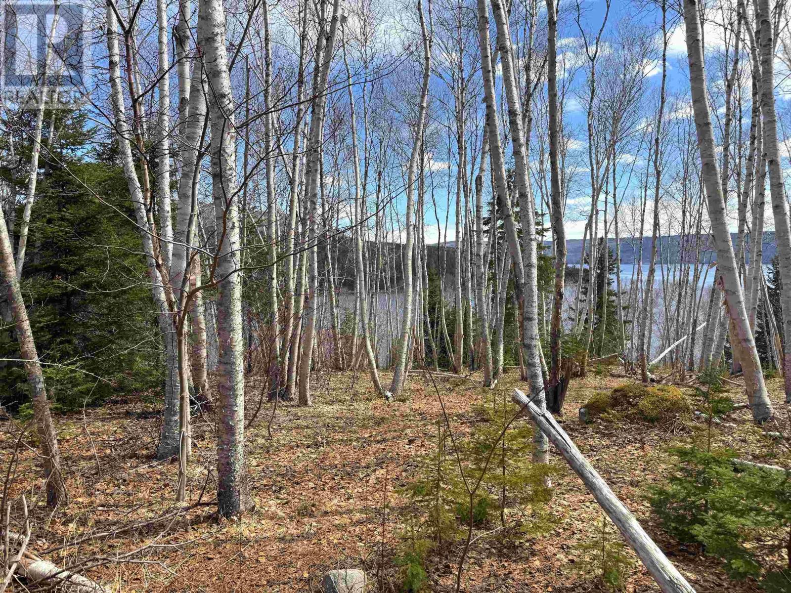 Cabot Trail / Rooster Hill Property Photo 15