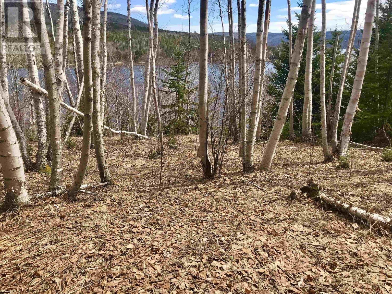 Cabot Trail / Rooster Hill Property Photo 16