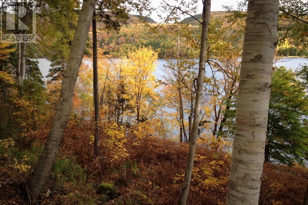 Cabot Trail / Rooster Hill Property Photo 22
