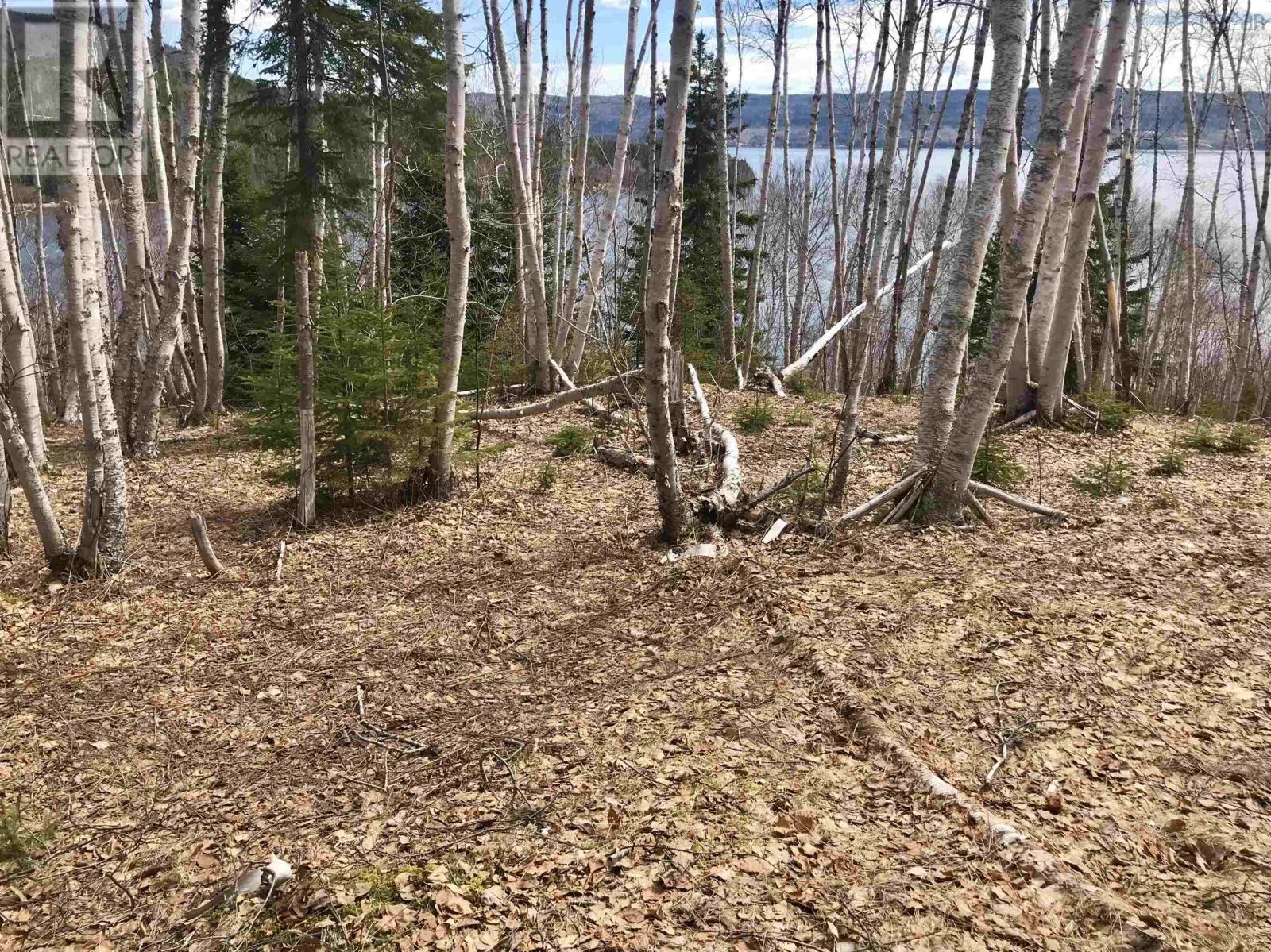 Cabot Trail / Rooster Hill Property Photo 25