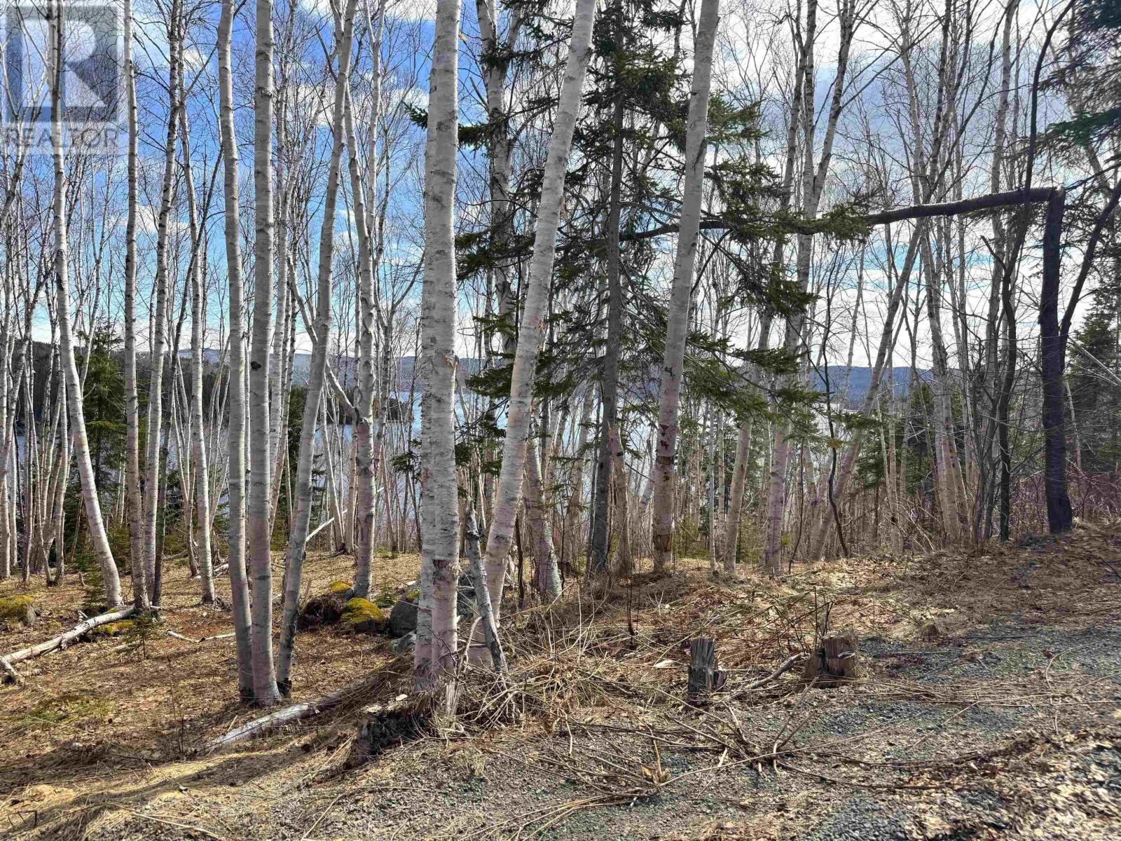 Cabot Trail / Rooster Hill Property Photo 29