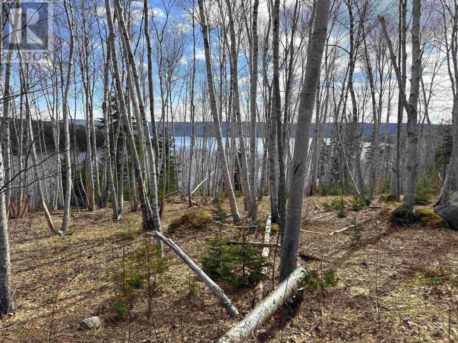 Cabot Trail / Rooster Hill Property Photo 30