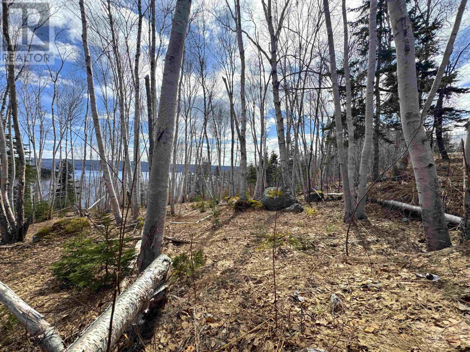 Cabot Trail / Rooster Hill Property Photo 31