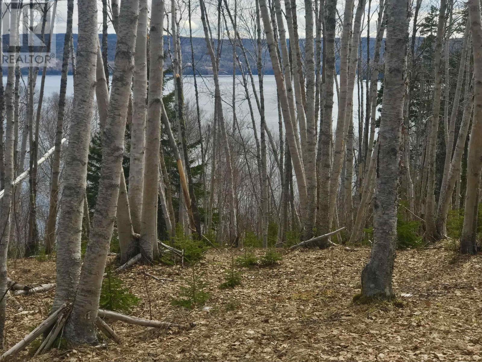 Cabot Trail / Rooster Hill Property Photo 33