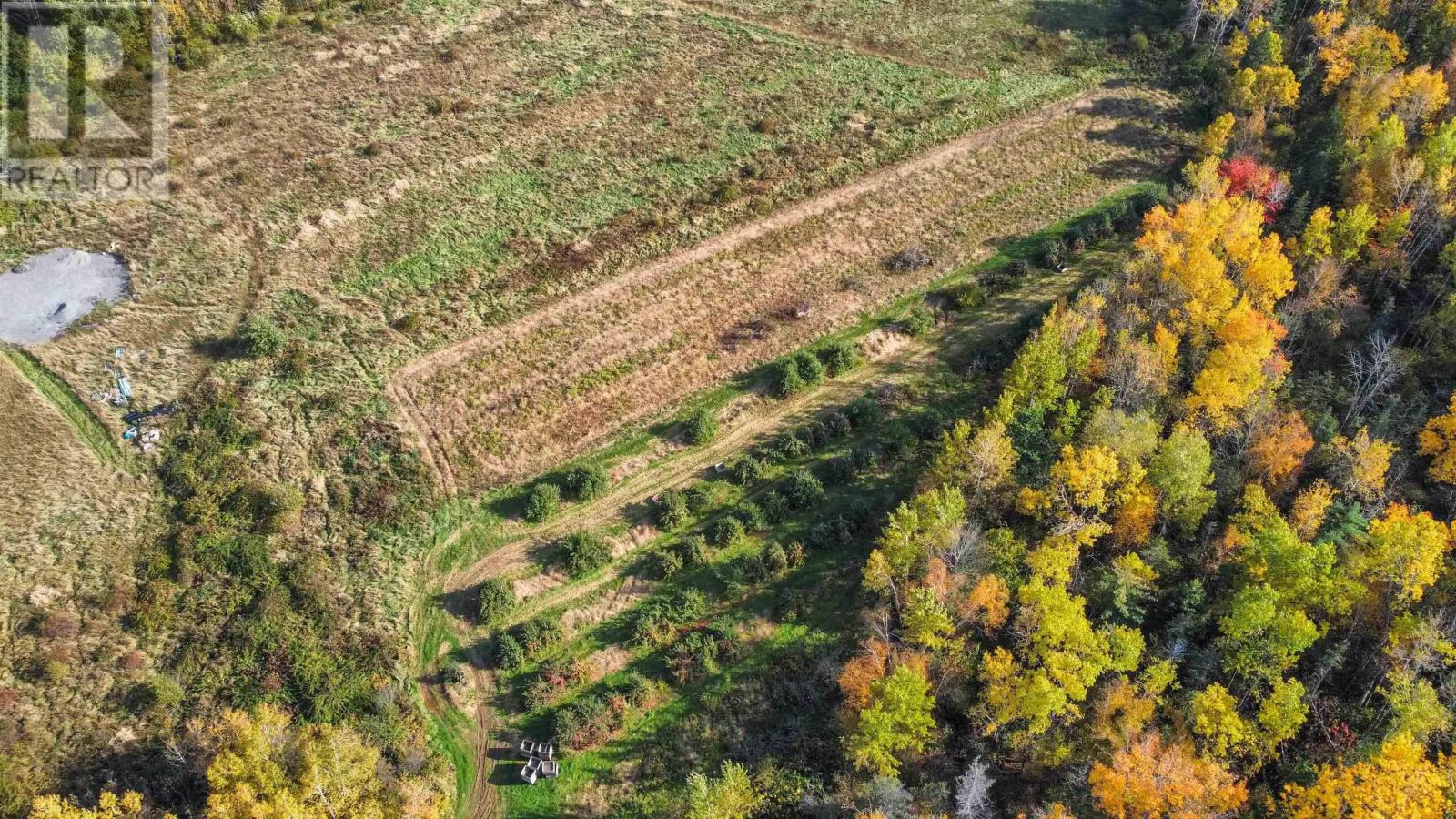 Lot No 101 Highway Property Photo 3