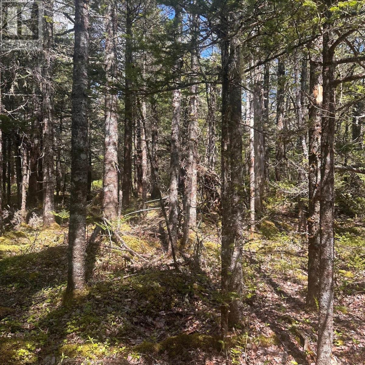 Lot 16 Somerset Drive Property Photo 1