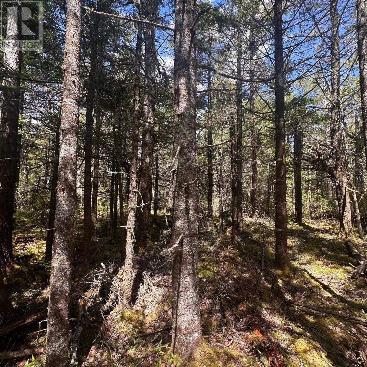 Lot 16 Somerset Drive Property Photo 3