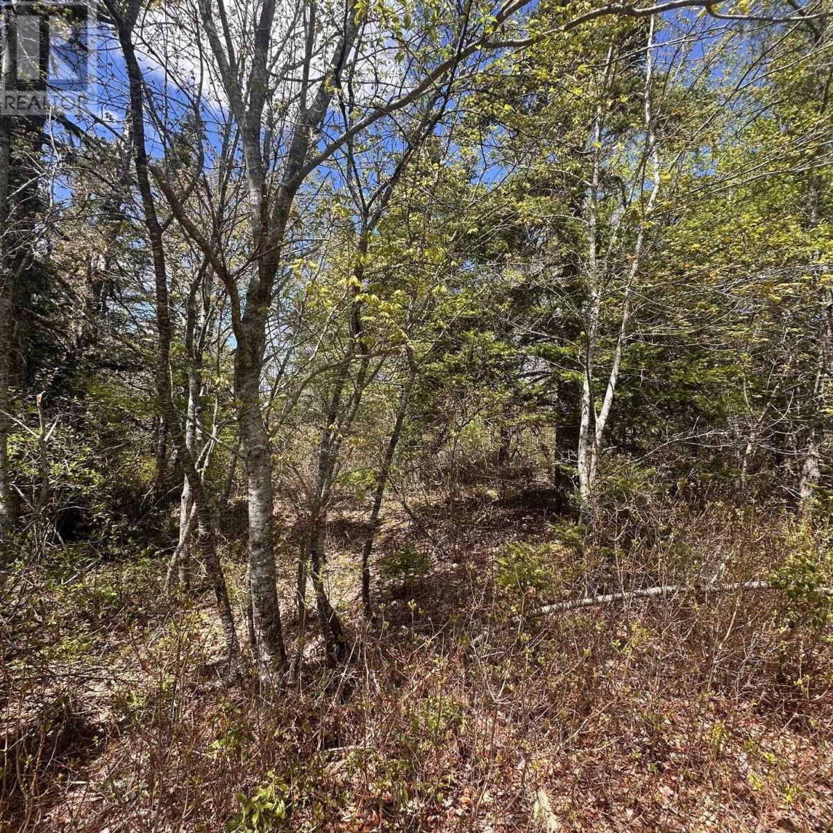 Lot 16 Somerset Drive Property Photo 5