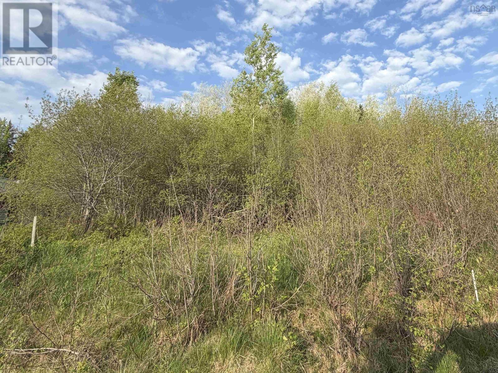 Lot 19 Belair Drive Property Photo 1