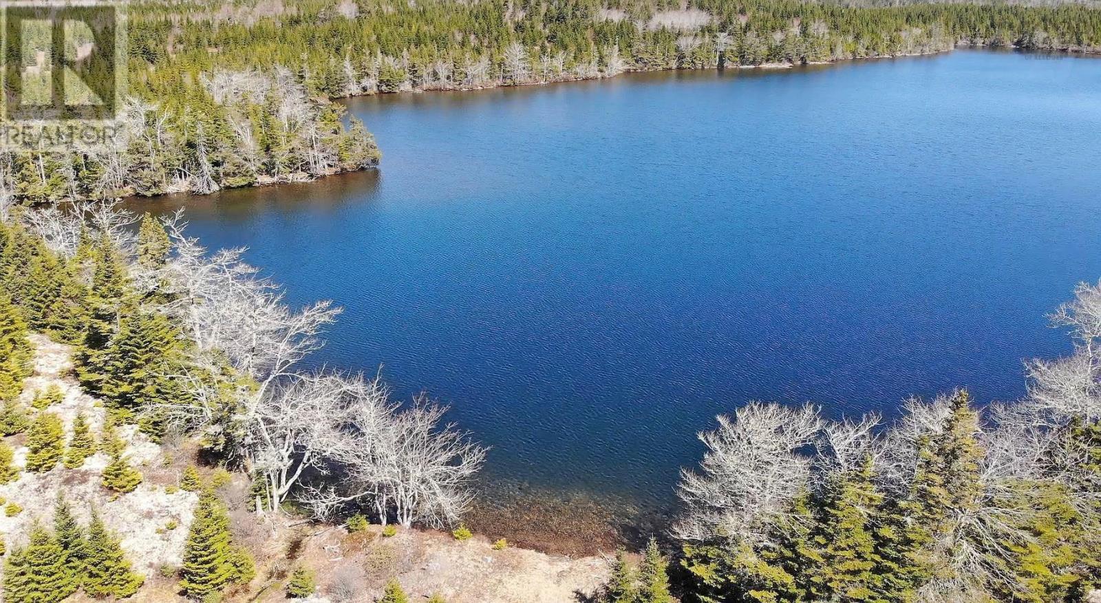 169.5 Acres Tompkinsville Road Property Photo 4