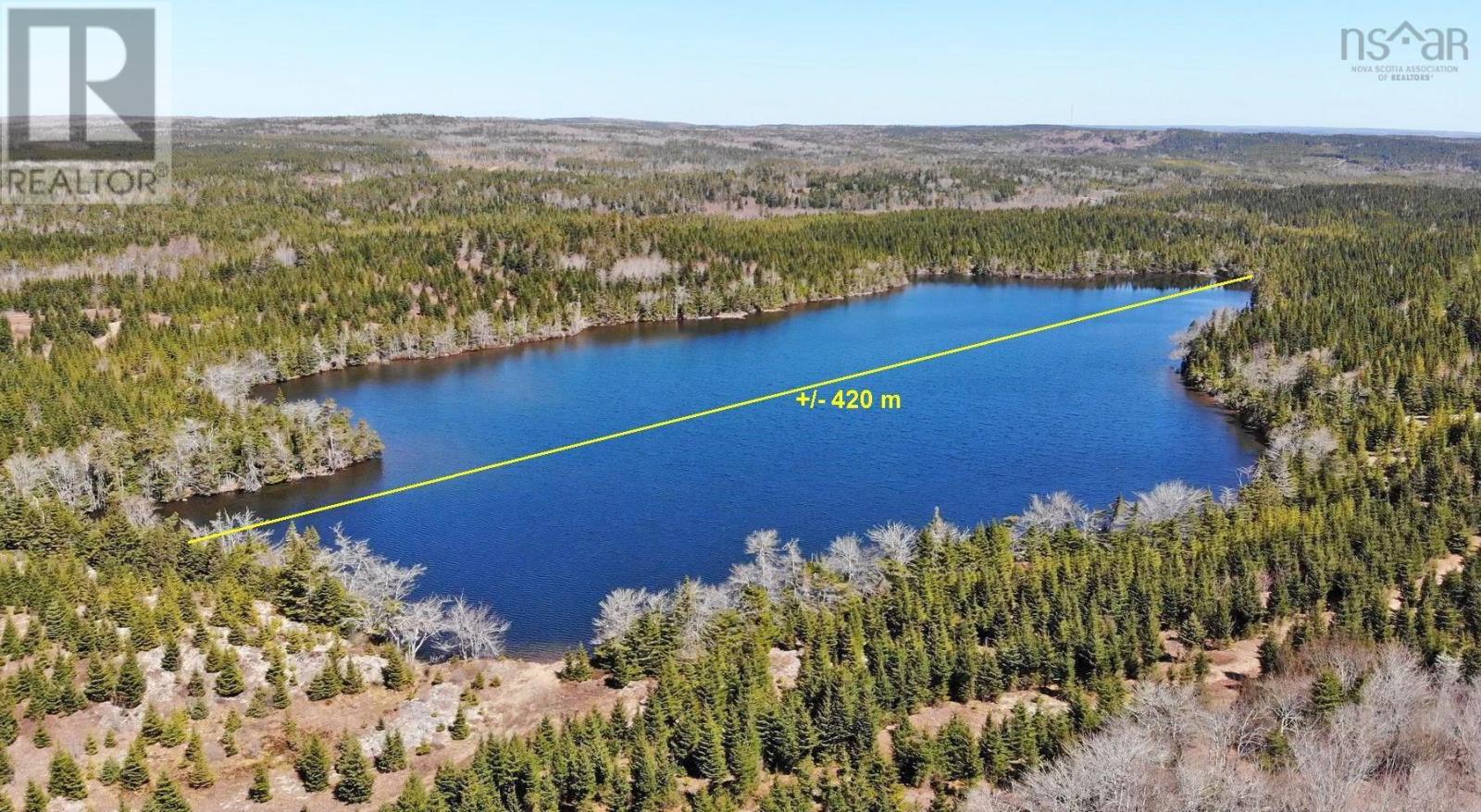 169.5 Acres Tompkinsville Road Property Photo 9