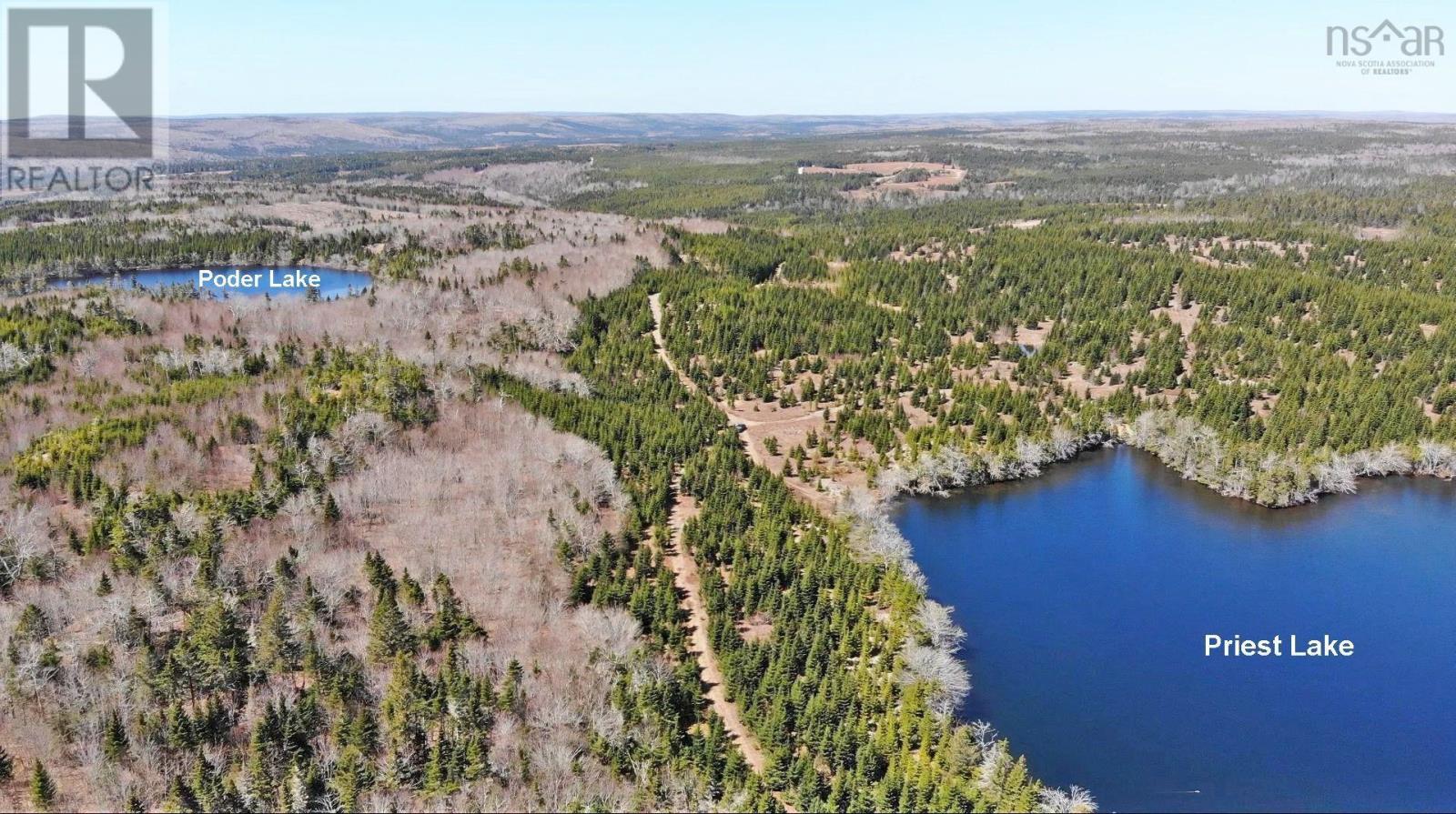 169.5 Acres Tompkinsville Road Property Photo 10