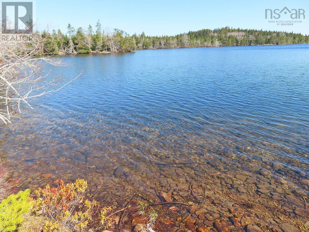 169.5 Acres Tompkinsville Road Property Photo 13
