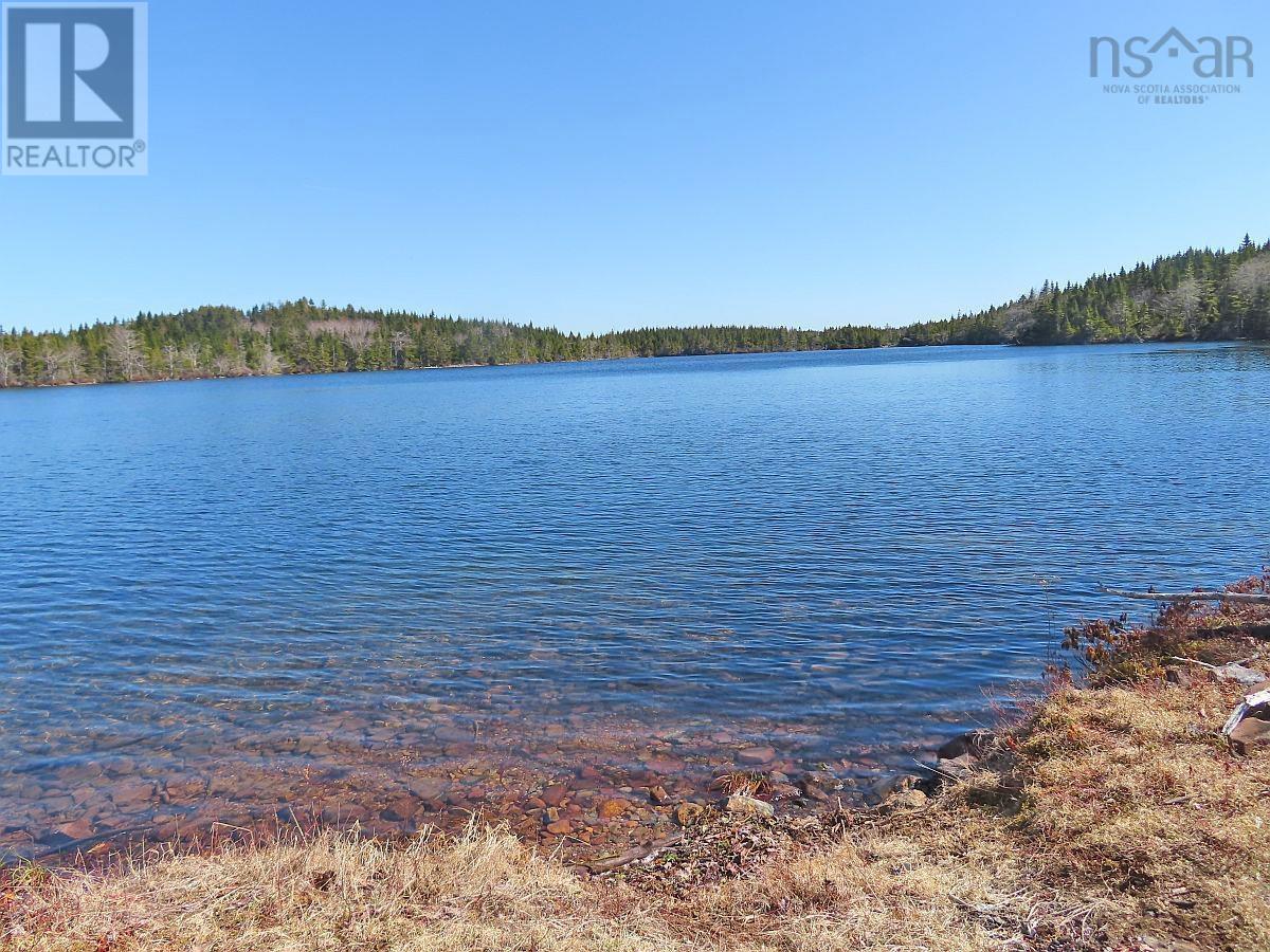 169.5 Acres Tompkinsville Road Property Photo 14