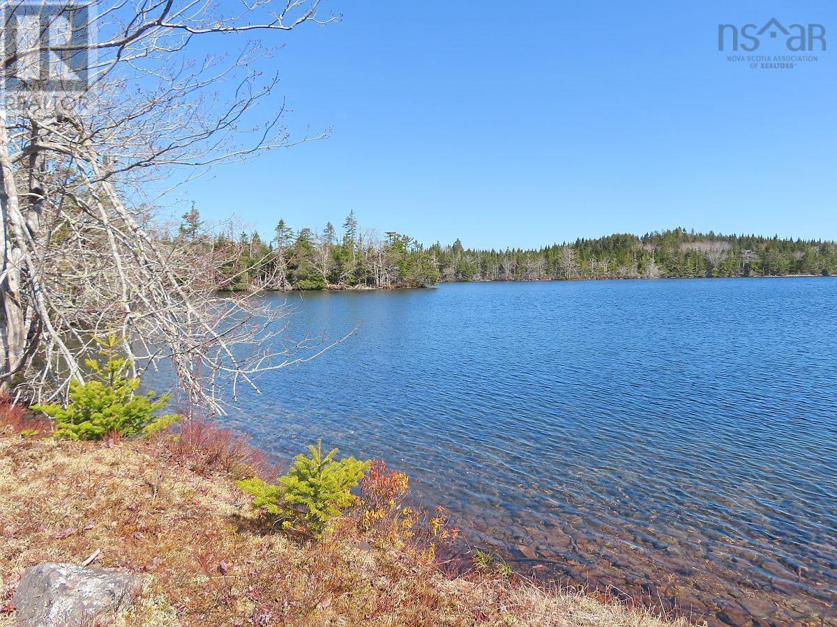 169.5 Acres Tompkinsville Road Property Photo 15