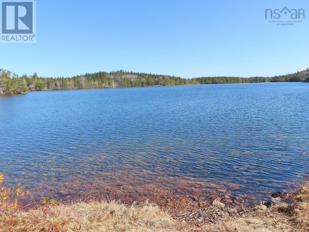 169.5 Acres Tompkinsville Road Property Photo 16