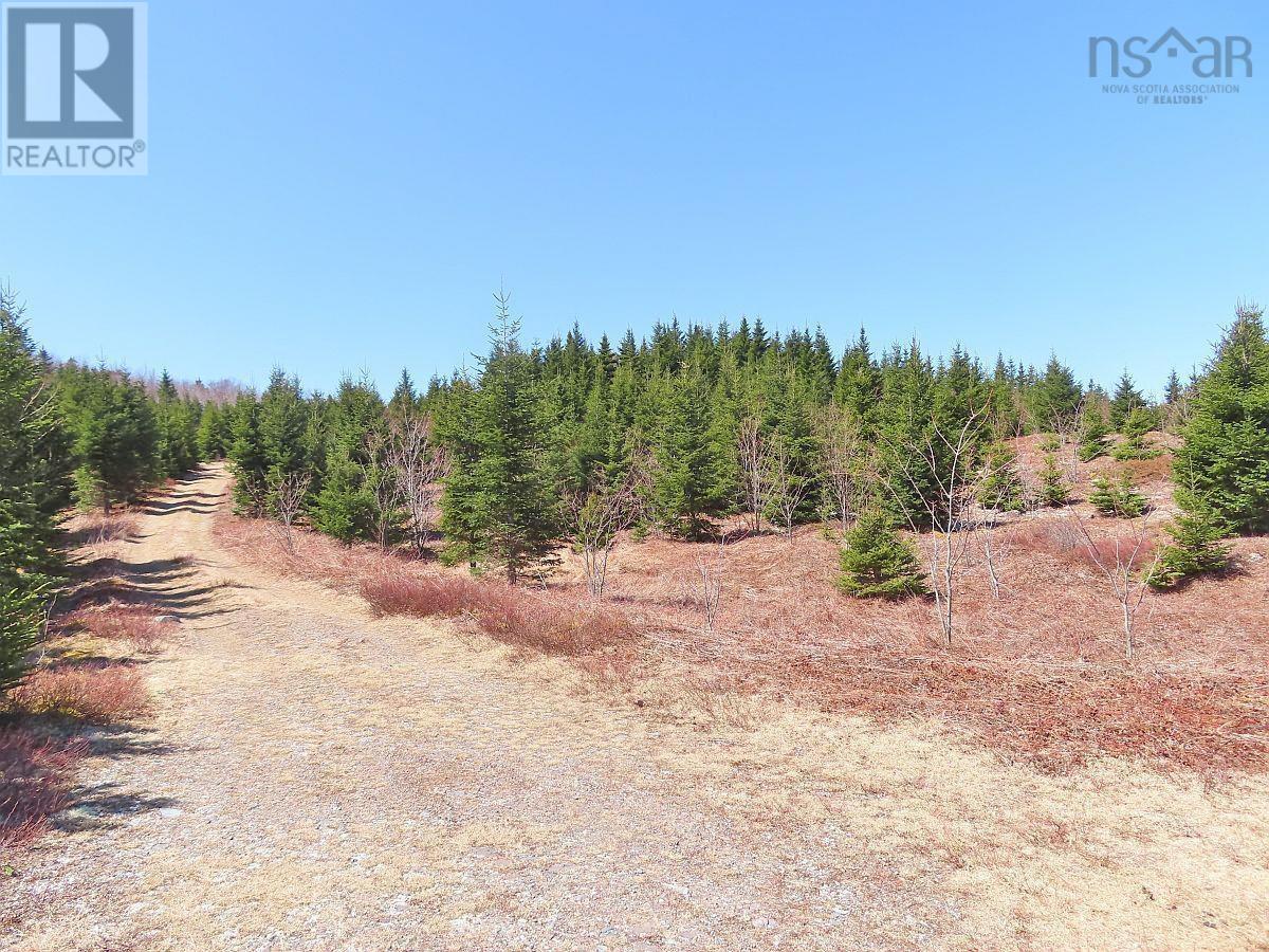 169.5 Acres Tompkinsville Road Property Photo 18
