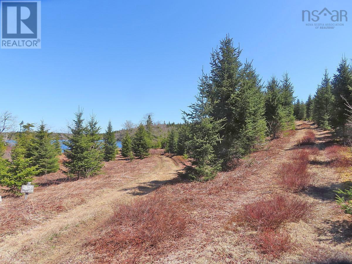 169.5 Acres Tompkinsville Road Property Photo 19