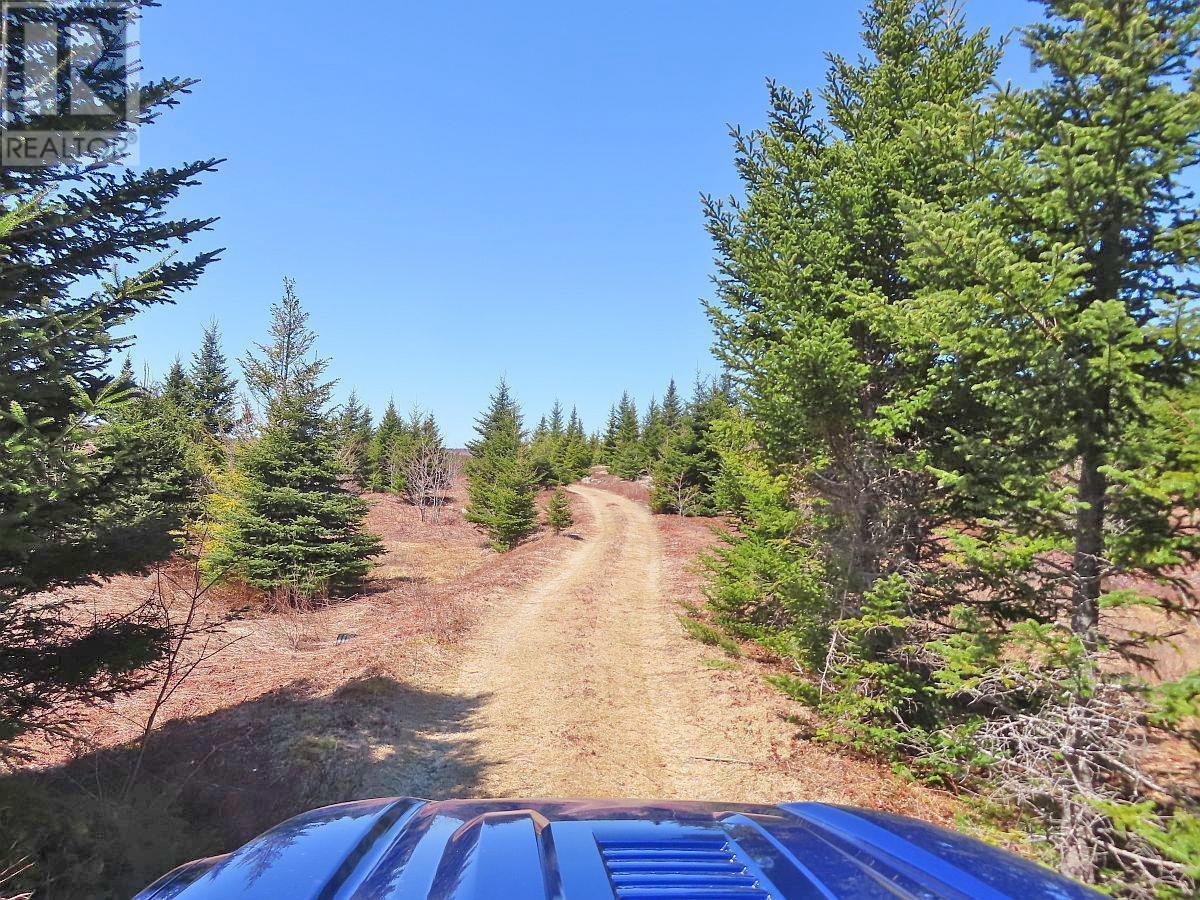 169.5 Acres Tompkinsville Road Property Photo 20