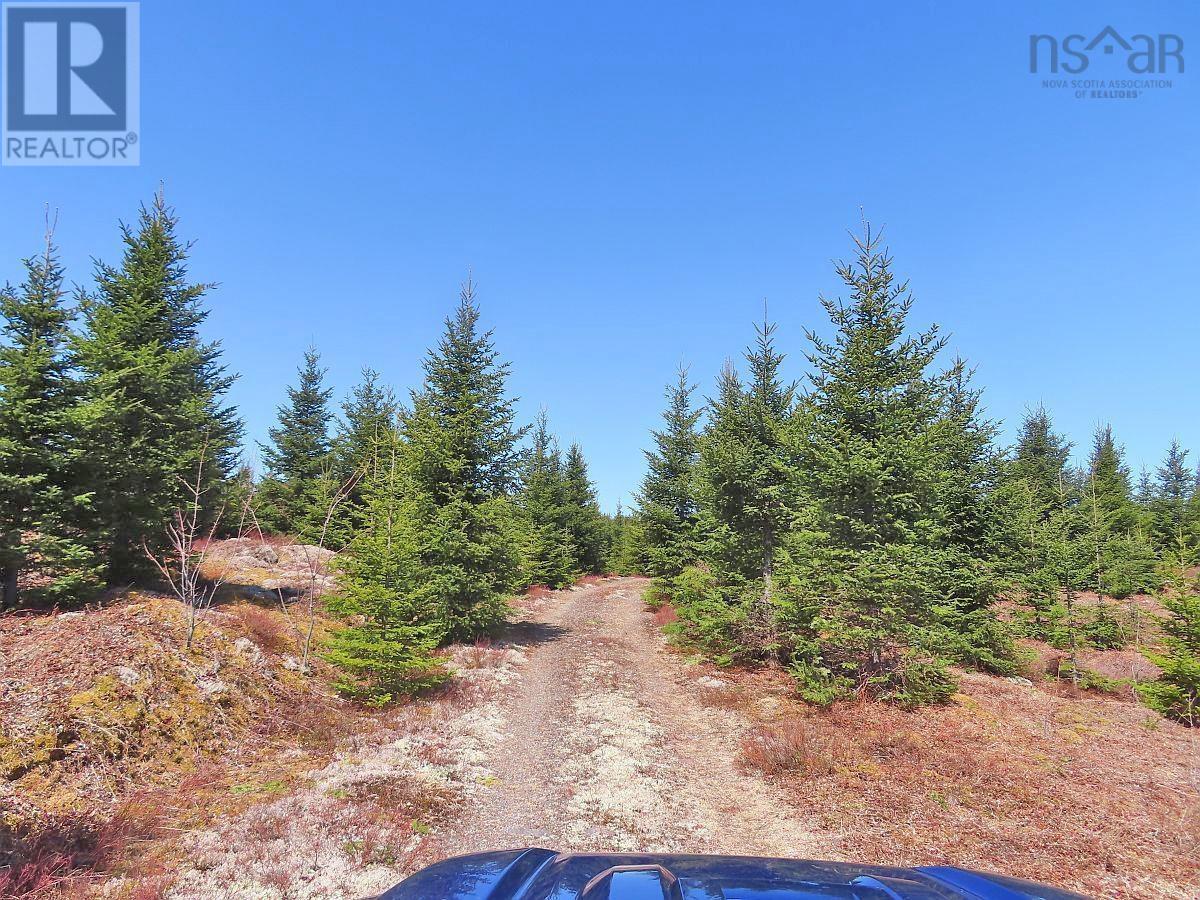 169.5 Acres Tompkinsville Road Property Photo 21