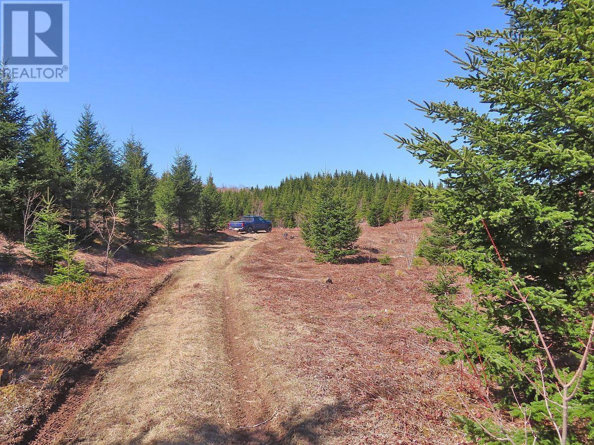 169.5 Acres Tompkinsville Road Property Photo 22