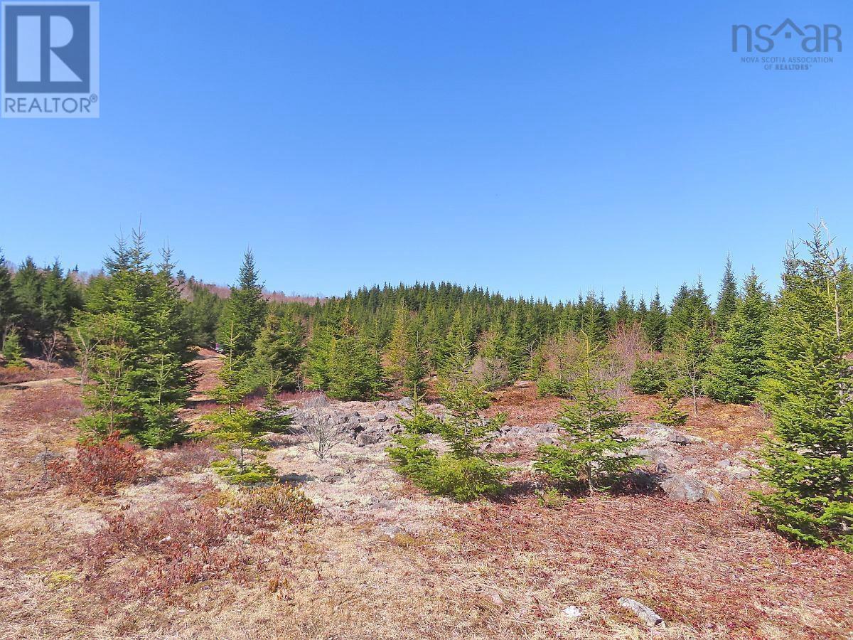 169.5 Acres Tompkinsville Road Property Photo 24