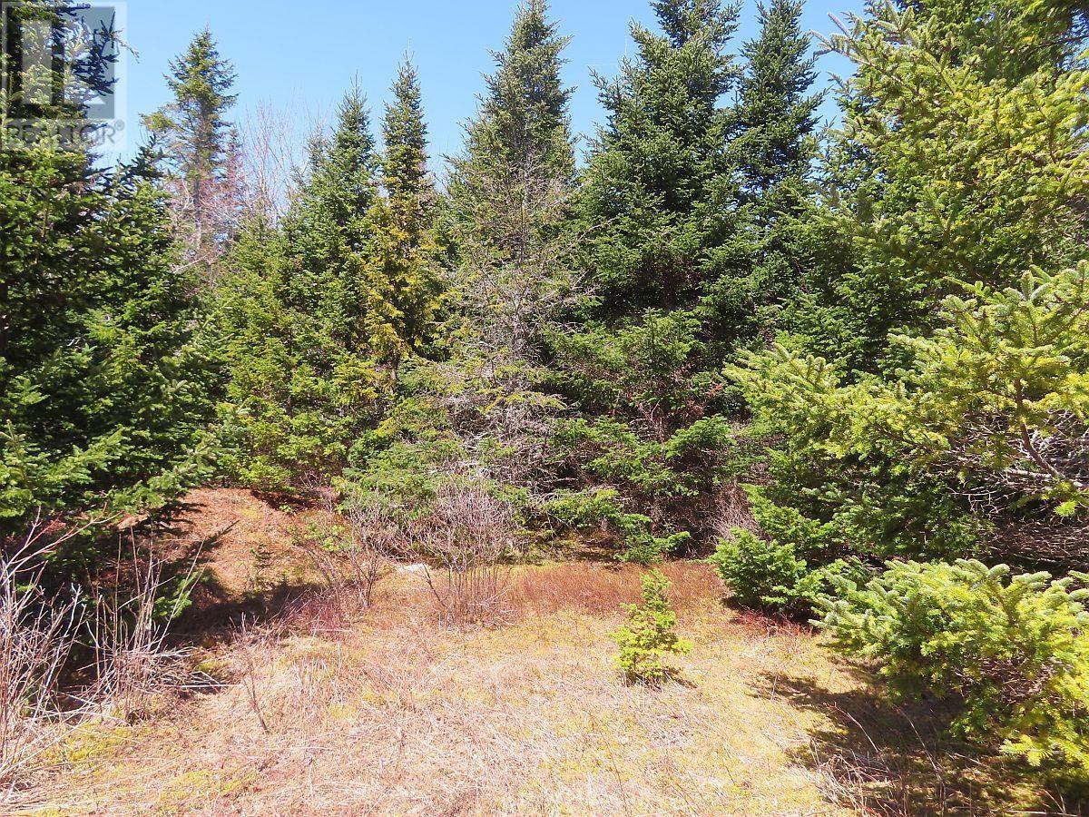 169.5 Acres Tompkinsville Road Property Photo 25