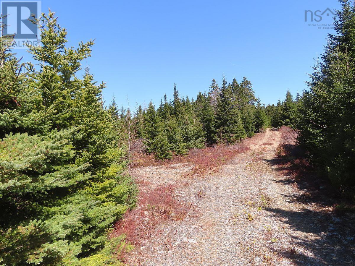 169.5 Acres Tompkinsville Road Property Photo 26