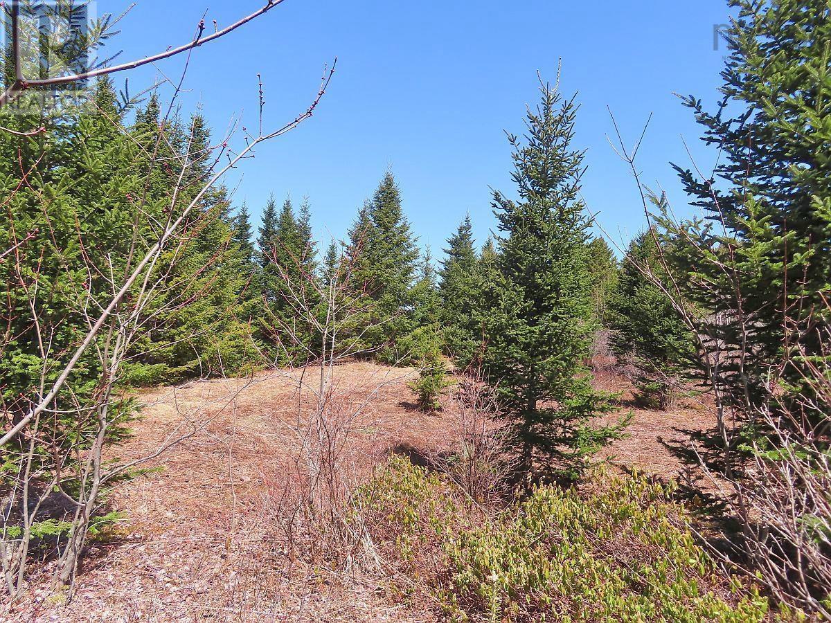 169.5 Acres Tompkinsville Road Property Photo 27