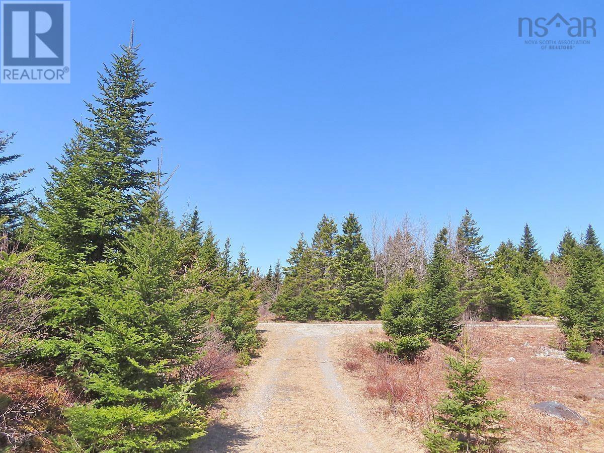 169.5 Acres Tompkinsville Road Property Photo 29
