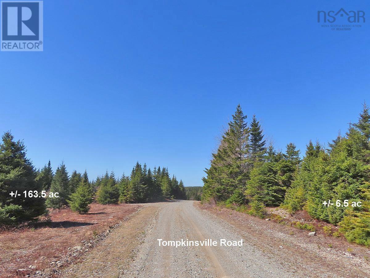 169.5 Acres Tompkinsville Road Property Photo 30