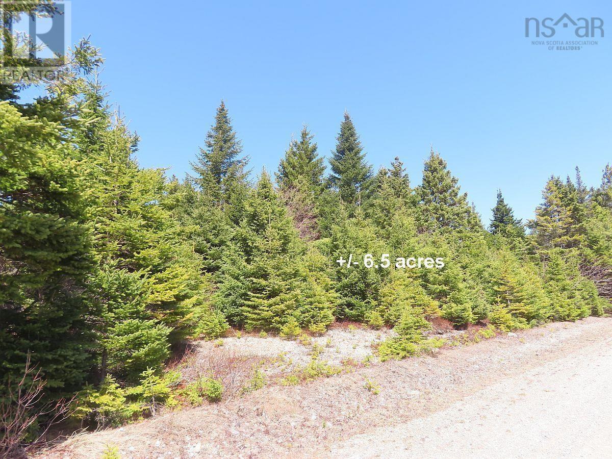 169.5 Acres Tompkinsville Road Property Photo 31