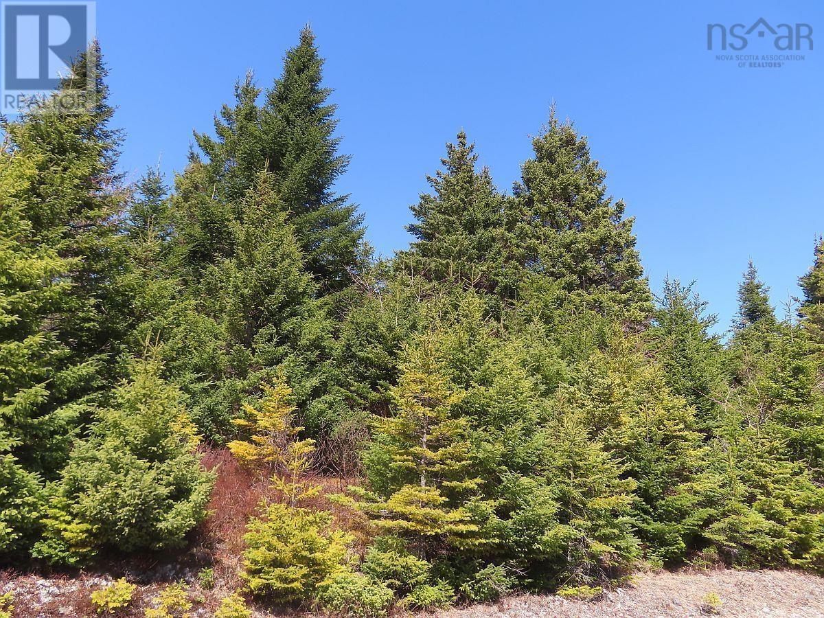169.5 Acres Tompkinsville Road Property Photo 32