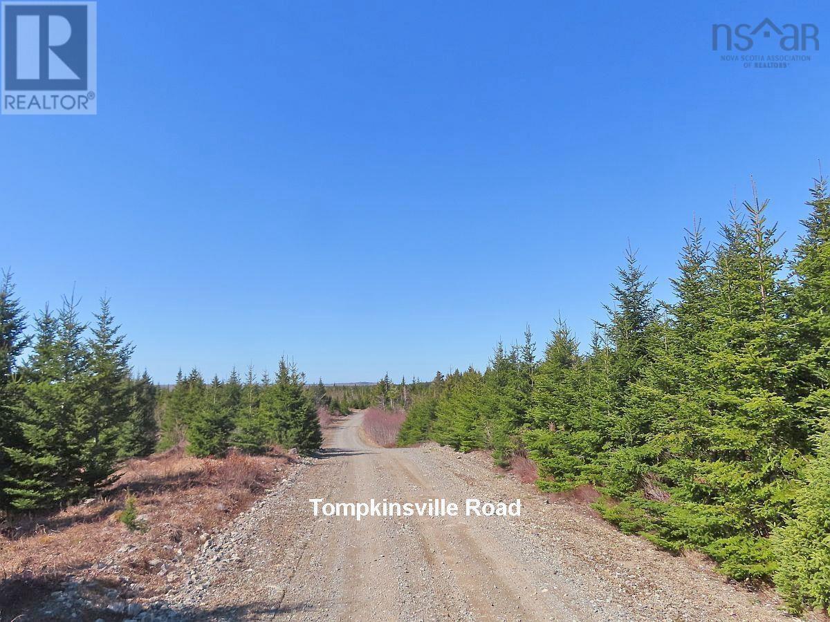 169.5 Acres Tompkinsville Road Property Photo 33