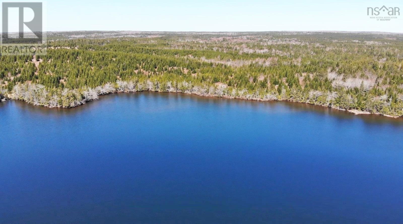 169.5 Acres Tompkinsville Road Property Photo 35
