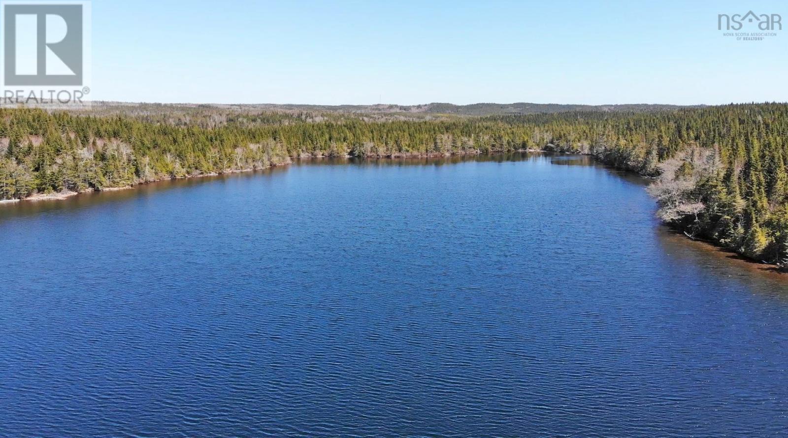 169.5 Acres Tompkinsville Road Property Photo 42