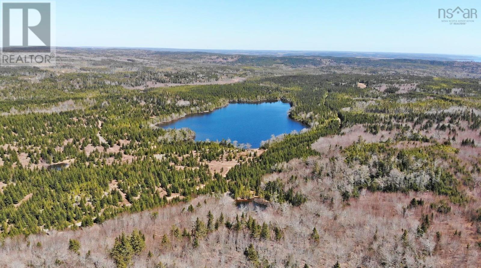 169.5 Acres Tompkinsville Road Property Photo 44