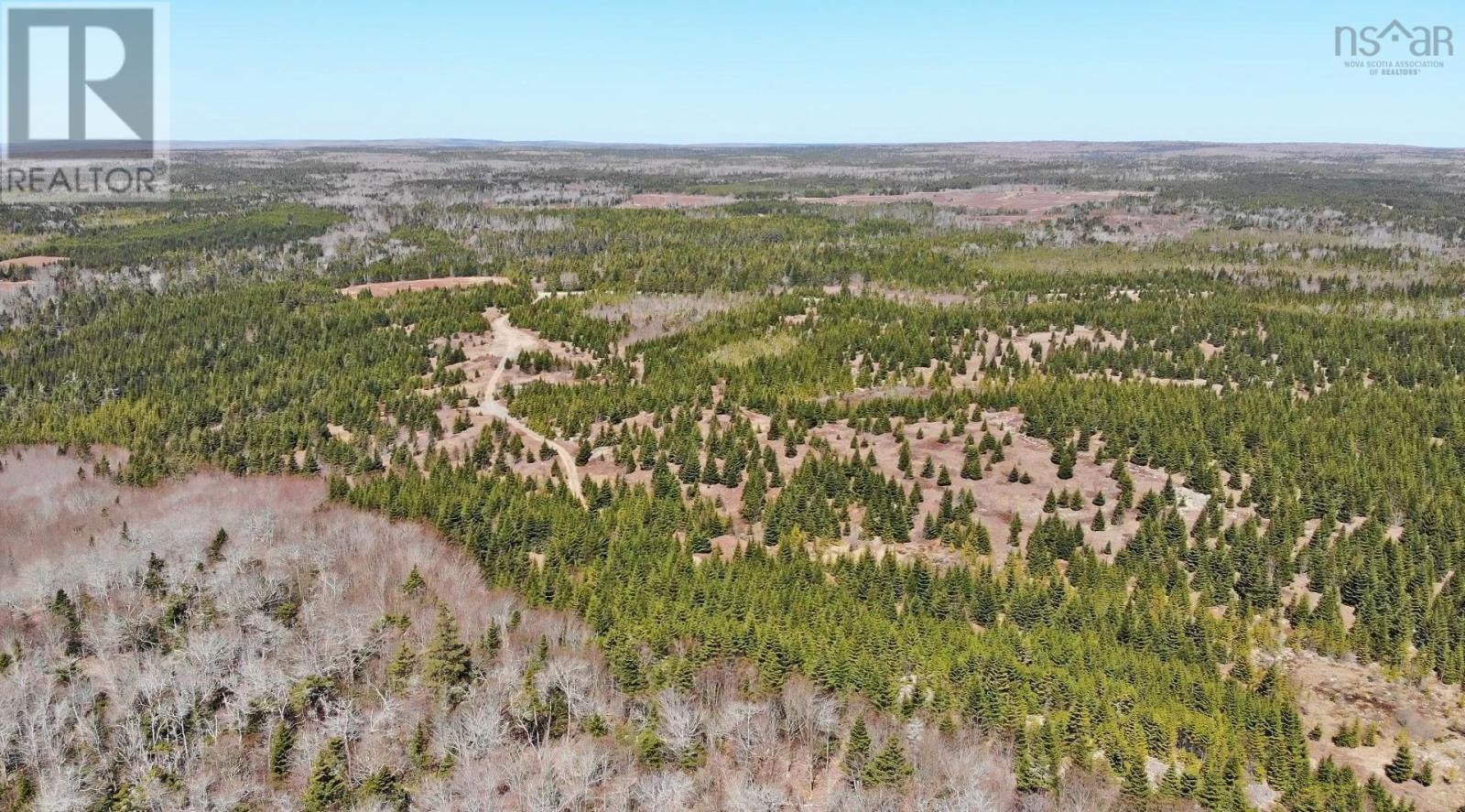 169.5 Acres Tompkinsville Road Property Photo 45