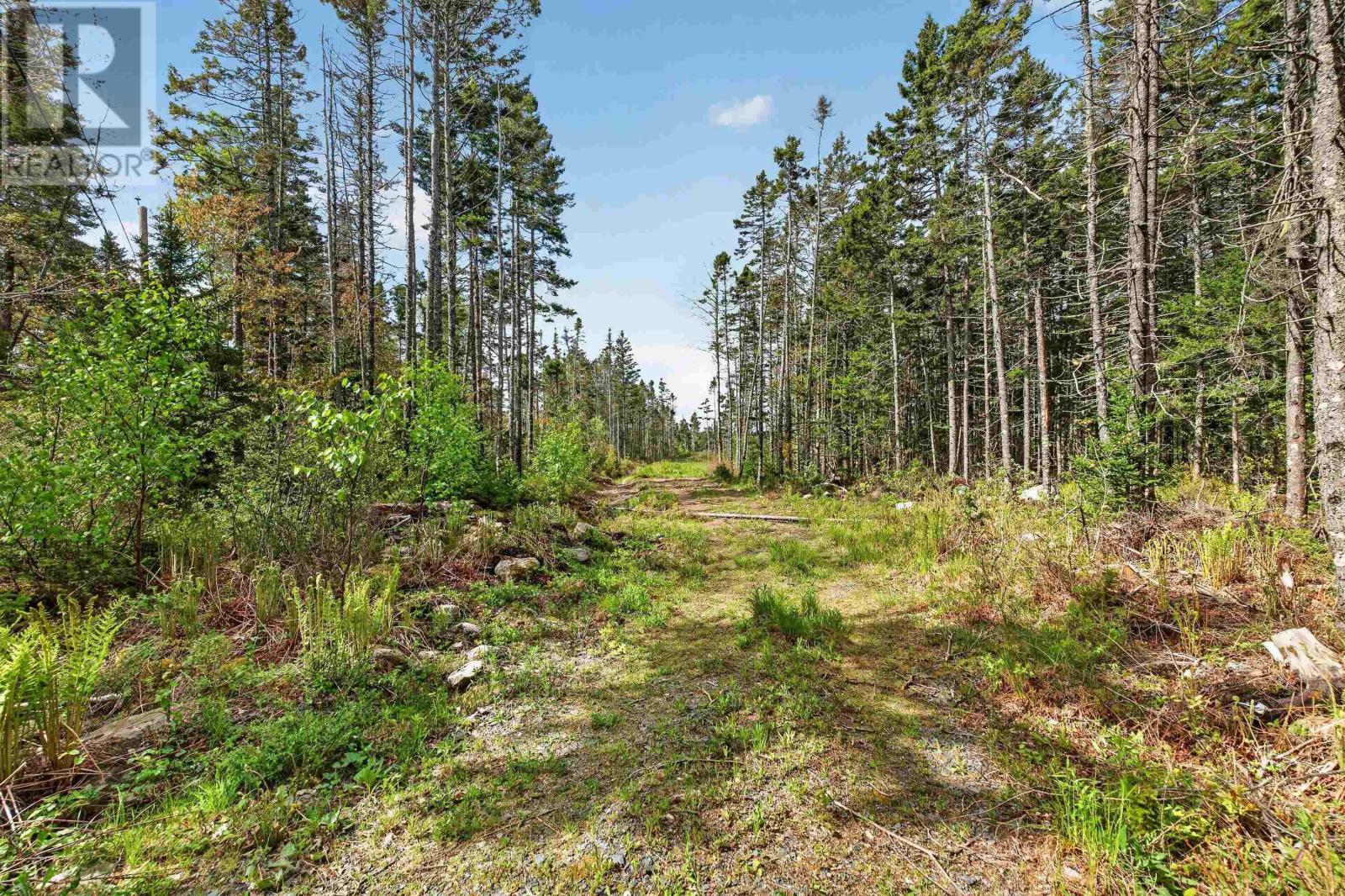 210 Moser Island Road Property Photo 17