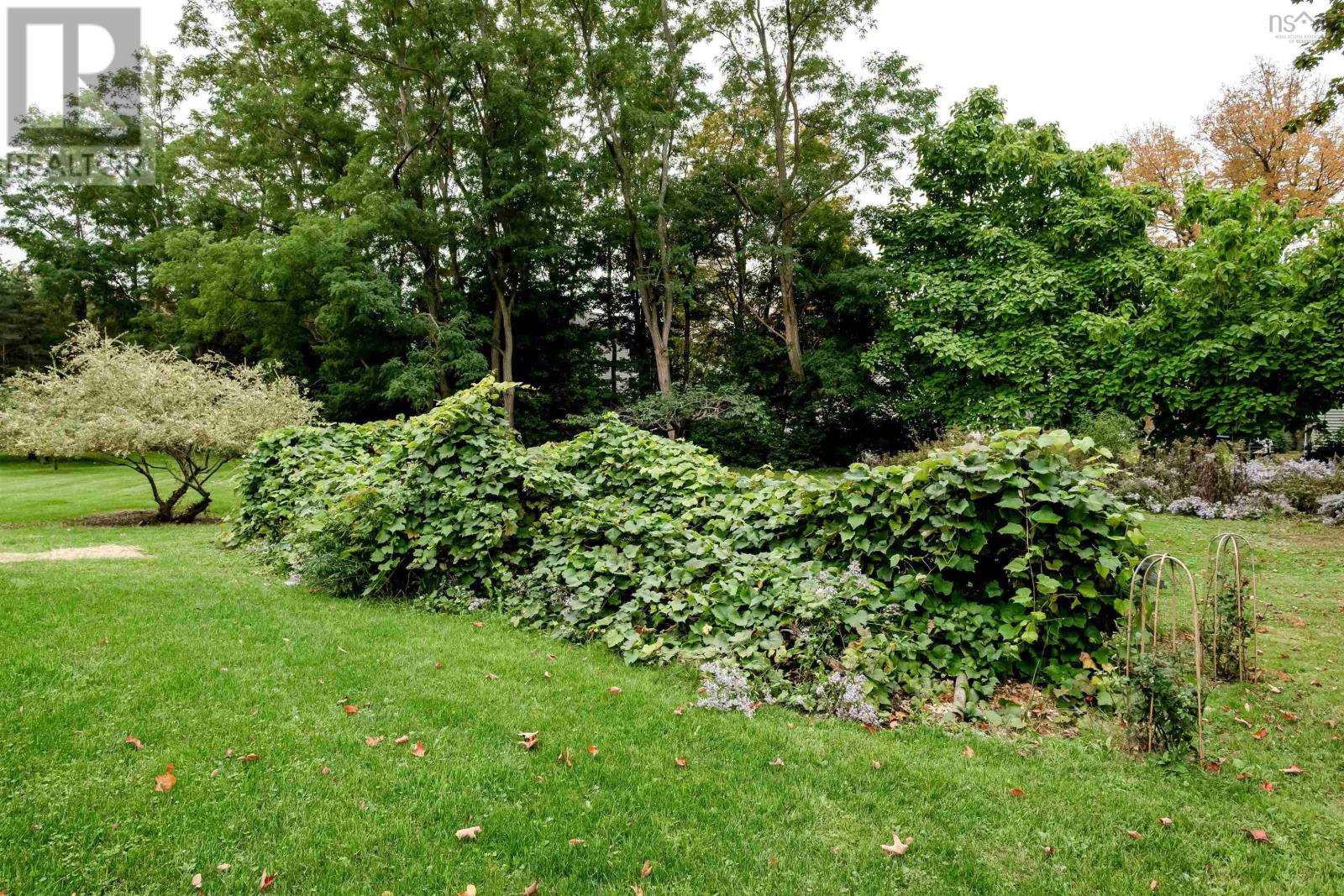10 Connaught Ave Avenue Property Photo 43