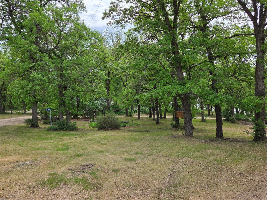 9764 Oak Drive Property Photo 34