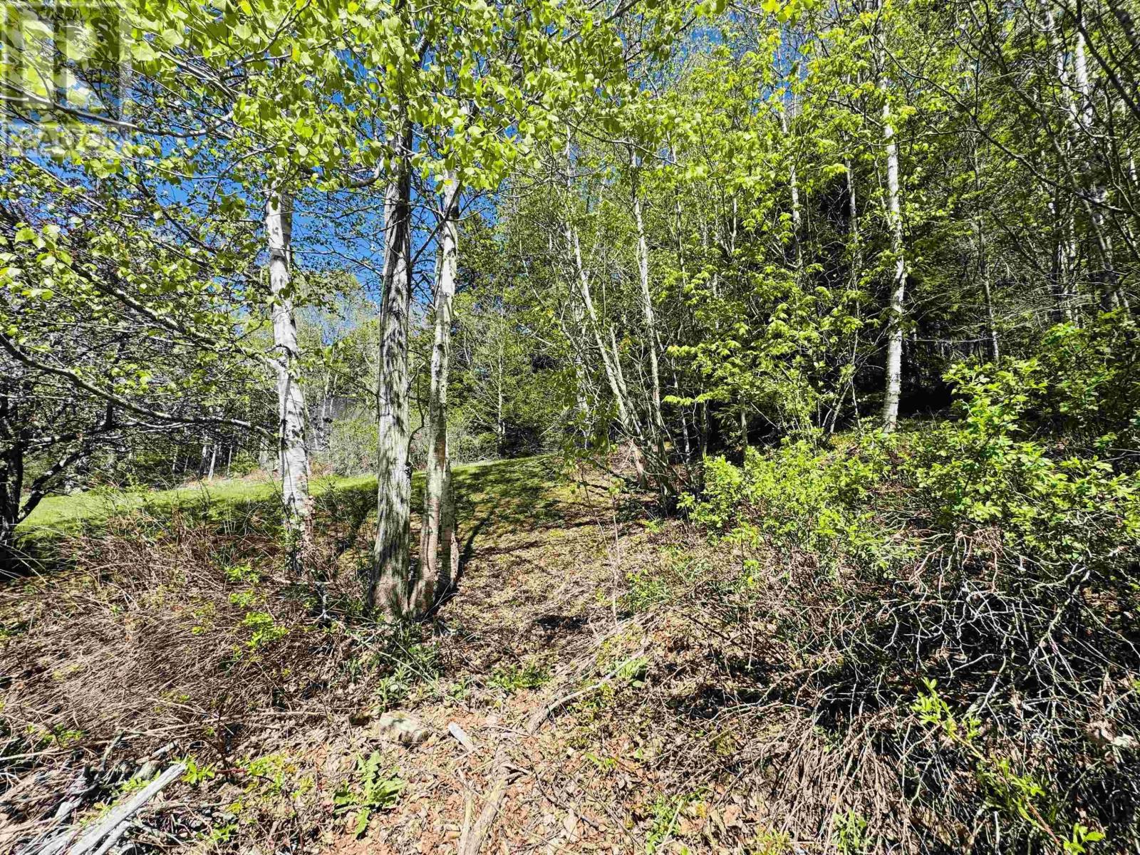 46 Fraserville Loop Property Photo 8