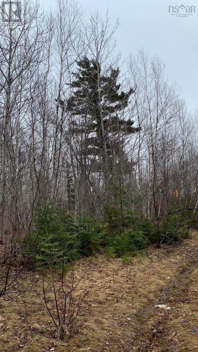 Lot 24-3 Little Harbour Road Property Photo 9