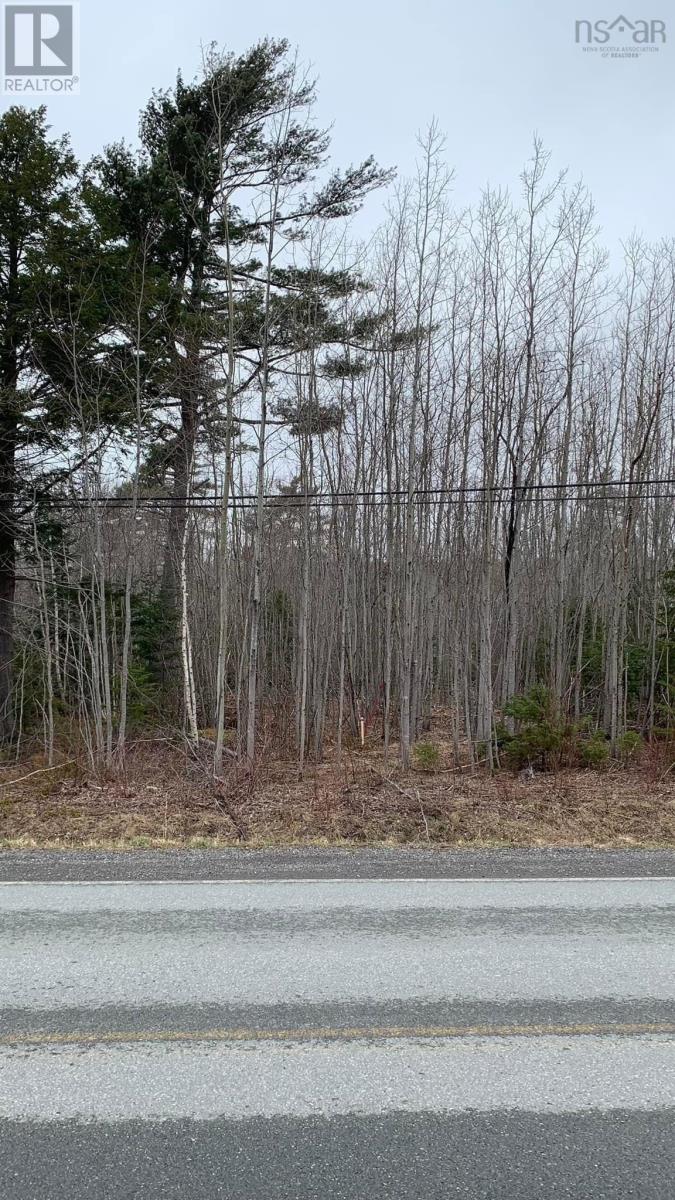 Lot 24-3 Little Harbour Road Property Photo 10