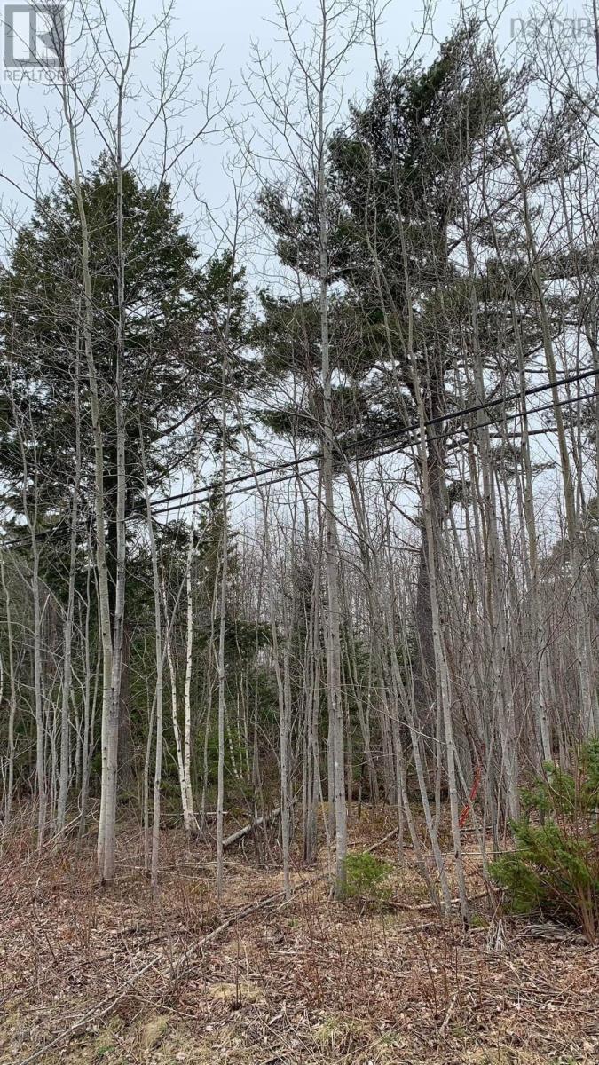 Lot 24-3 Little Harbour Road Property Photo 13